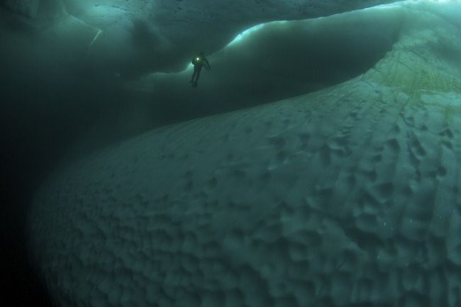 Arctic