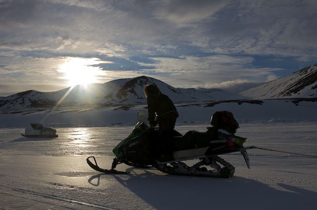 Arctic