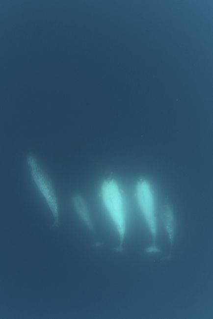 Arctic Bay, Nunavut, Canada
