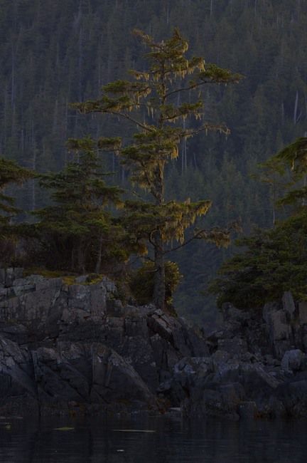 Port Hardy, British Columbia, Canada