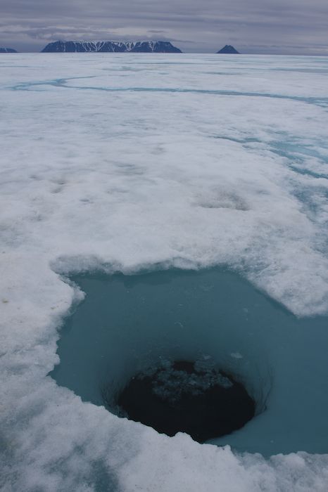 Seal hole in the ice