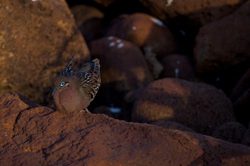 Galapagos Islands, Ecuador