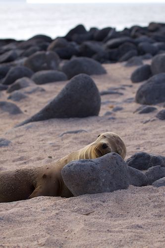 Galapagos Islands, Ecuador