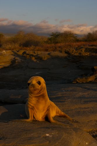 Galapagos Islands, Ecuador